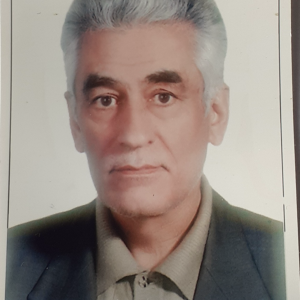 دکتر محمود آقا بهشتی زواره